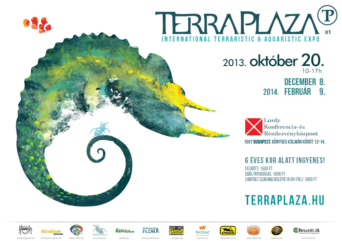 terraplaza budapest oktoberi terrarisztikai rendezveny terra plaza